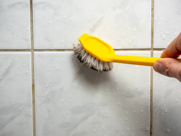 Best Mold Testing  in Beach Haven, NJ